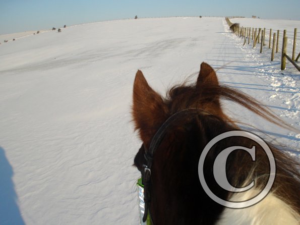 Riding in the snow