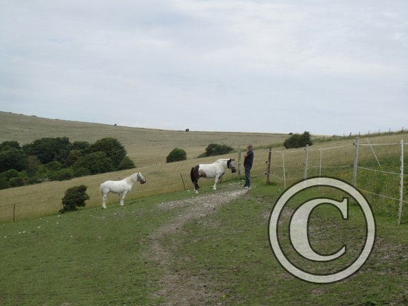 Tilly and Moo waiting