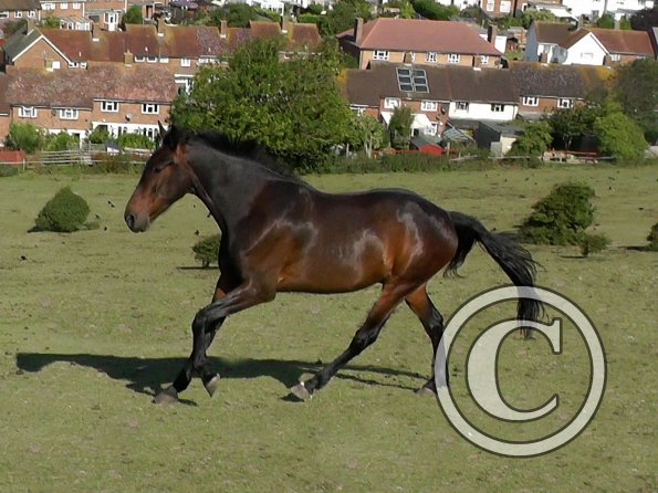 07-19-2015_082512(2)