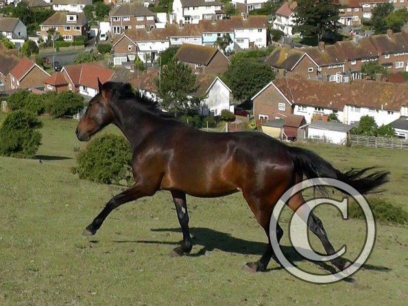 07-19-2015_082512(3)