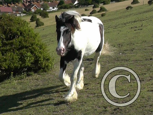 07-19-2015_082512(6)