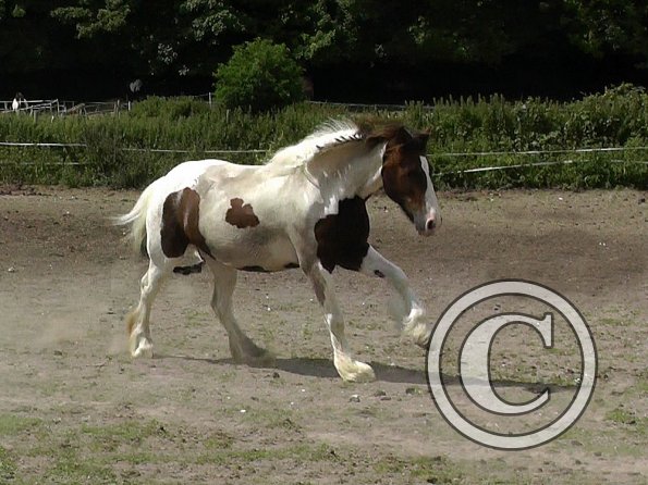 07-19-2015_114753(1)