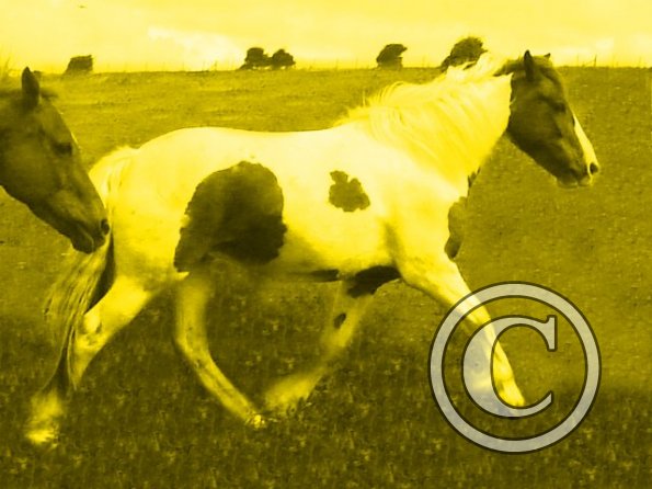 Lance super fake photoshop