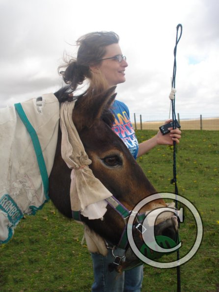 Observing the arrival