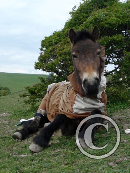 What you laughing at