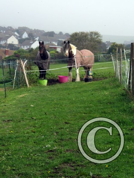 Big girls in the morning
