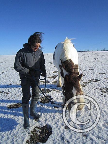 Achilleas and Lance (2)