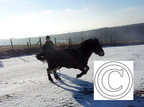 Appley video canter