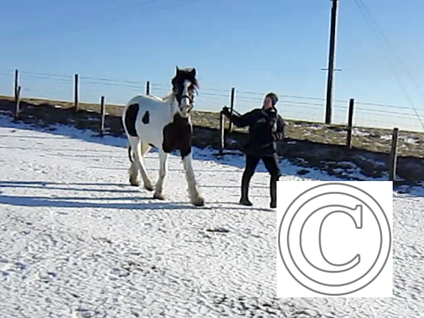 Lance leading video (2)