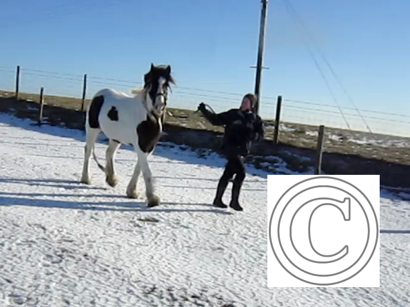 Lance leading video (3)