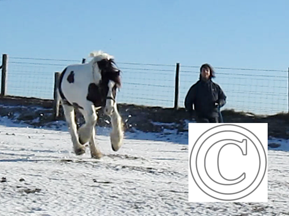 Lance lunatic video (10)