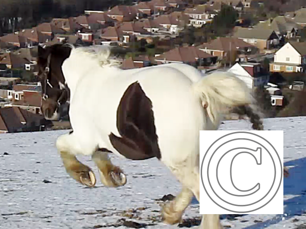 Lance lunatic video (11)