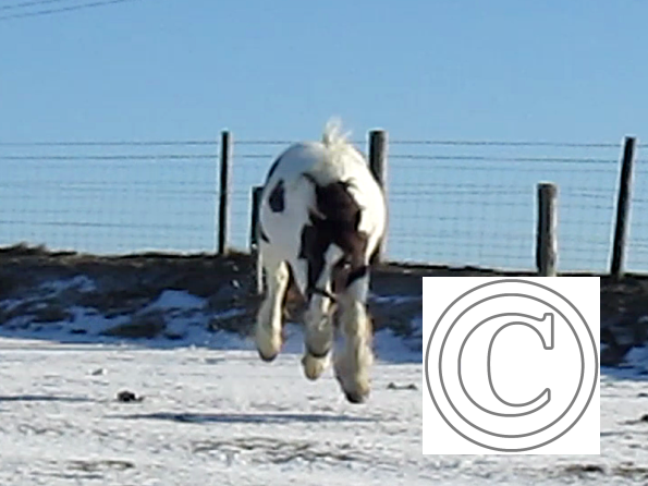 Lance lunatic video (12)