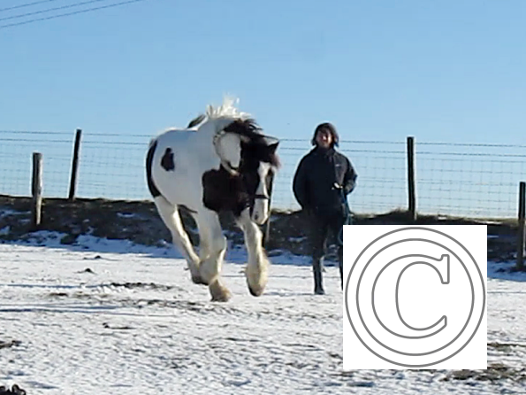 Lance lunatic video (13)