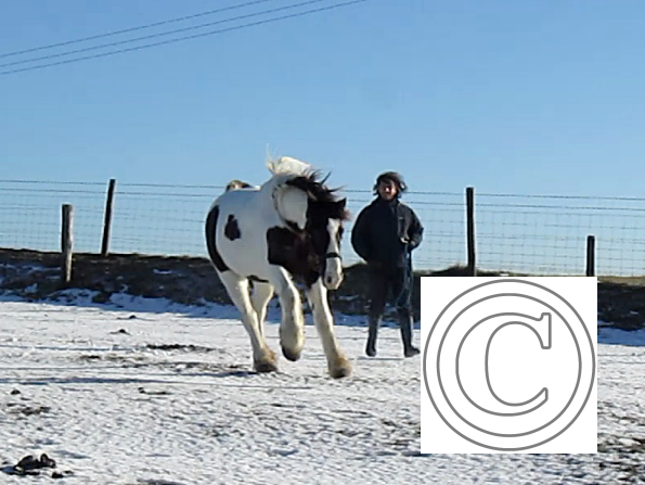 Lance lunatic video (2)