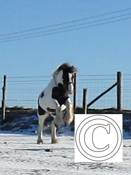 Lance lunatic video (3)