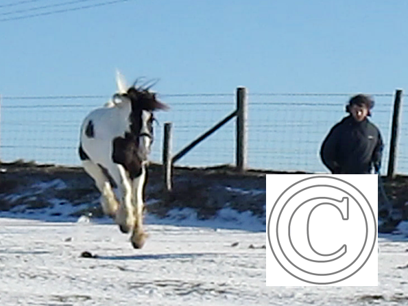 Lance lunatic video (4)