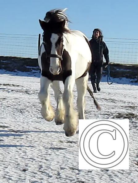 Lance lunatic video (5)