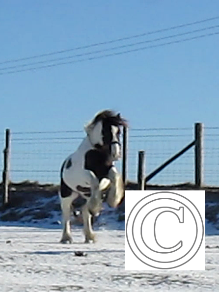 Lance lunatic video (6)