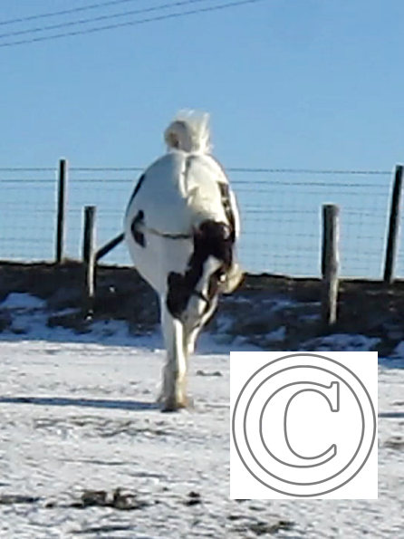 Lance lunatic video (7)