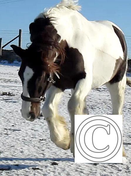 Lance lunatic video (8)