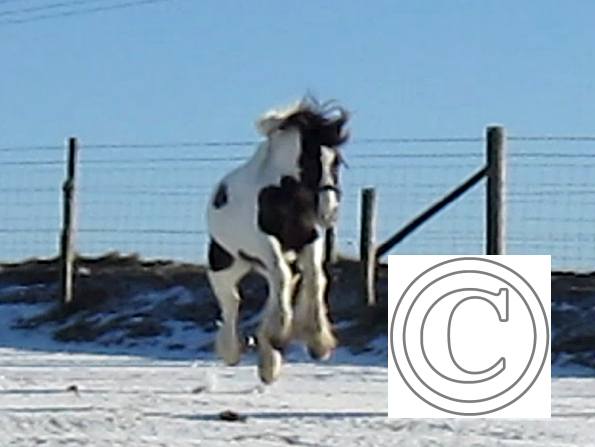 Lance lunatic video (9)