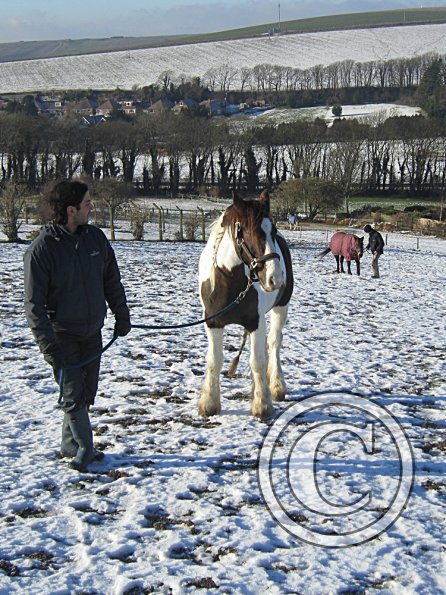 Walking up the field (10)