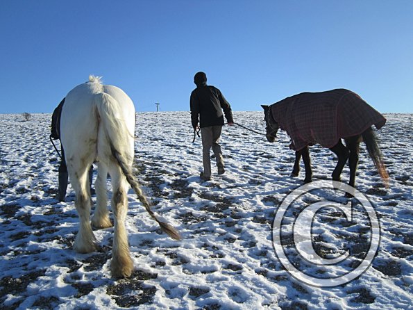 Walking up the field (2)