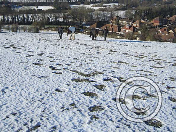 Walking up the field (3)