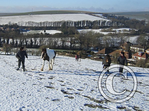 Walking up the field (5)