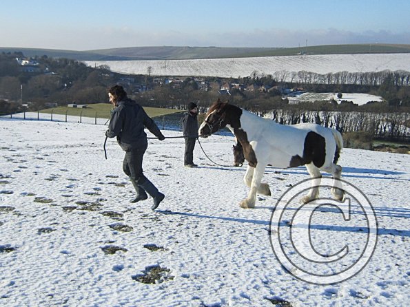 Walking up the field (6)
