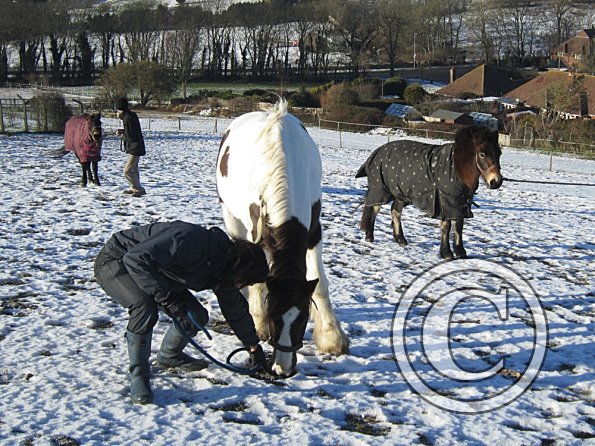 Walking up the field (7)