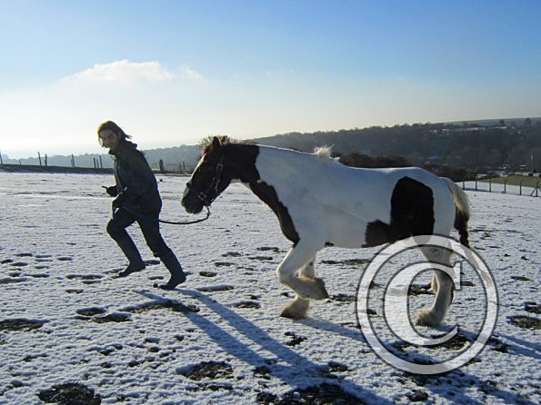 Walking up the field (8)