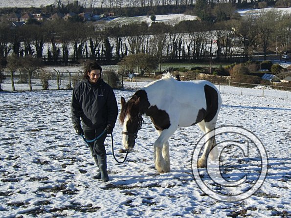 Walking up the field (9)
