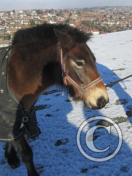 Walking up the field