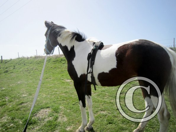 Walking out on the bridleway