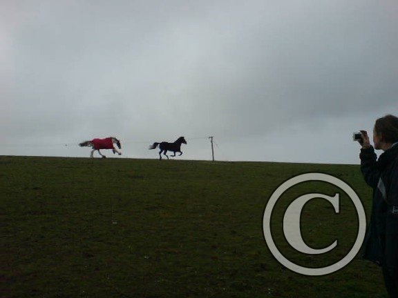 Angel and Lance gallop