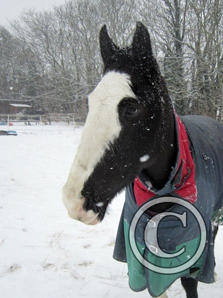 Jessica Stink posing (2)