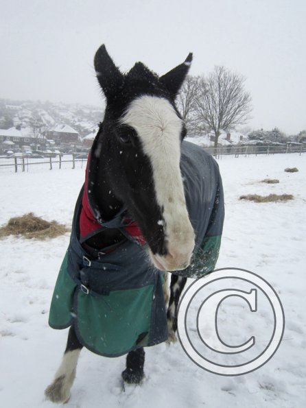 Jessica Stink posing