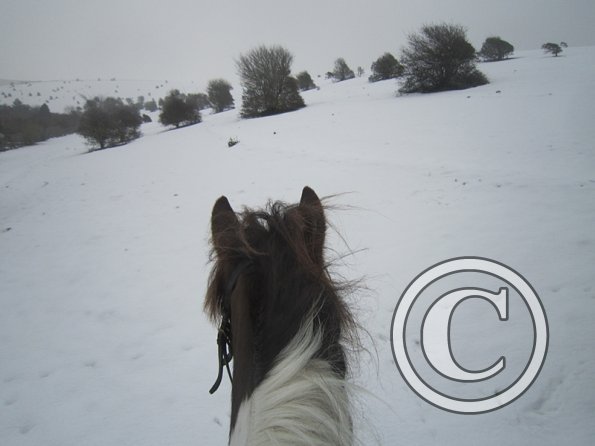 Lance ridden earshots