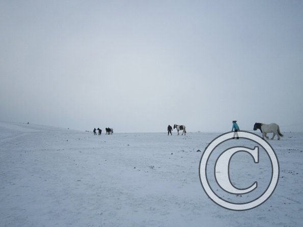 Tundra herders (3)