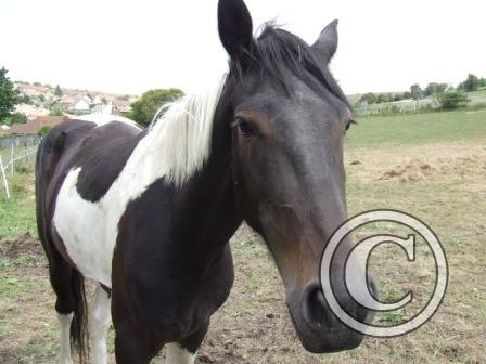 a First few days of arrival July08