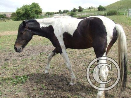 b first few days of arrival July08 (2)