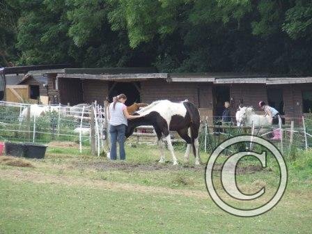 c Our first meeting July08 (3)