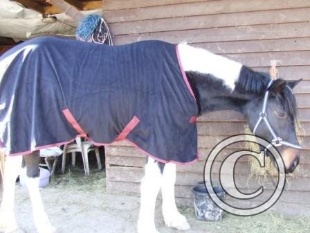 g New Cooler Beg March09