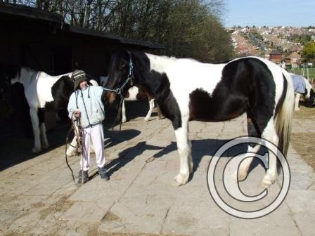 j Lily &amp; Lacey begMar09