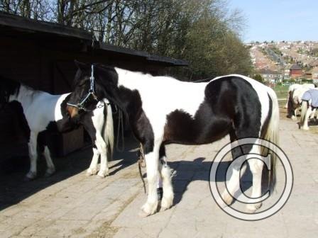 k I'm feeling good! begMar09