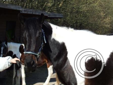 l Nice &amp; Shiny! begMar09