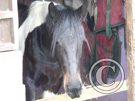 r Umm Yum! beg Mar09