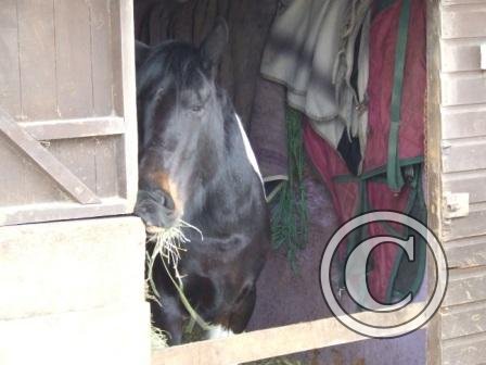 s ooh! Got an itch! beg Mar09